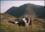 Fagaraš 2001